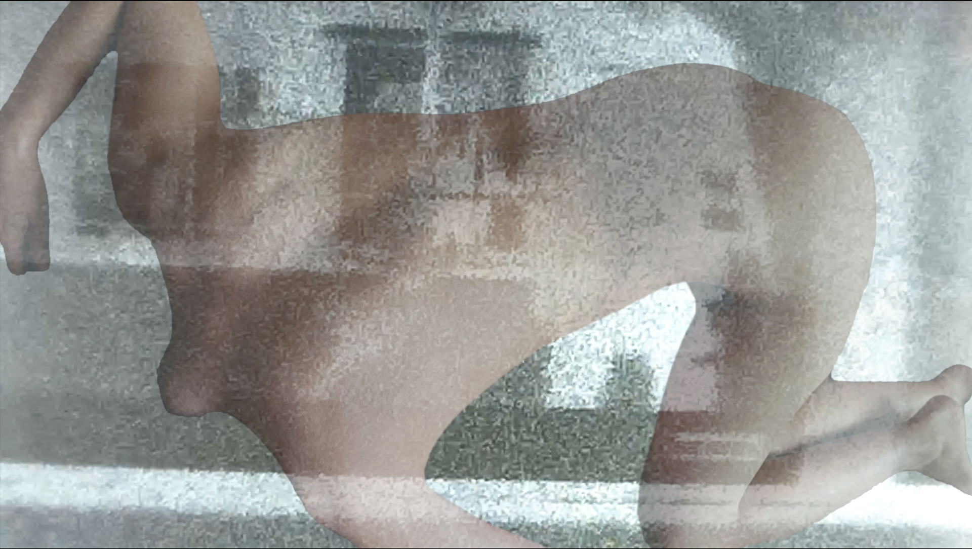 The Body as Material and Immaterial