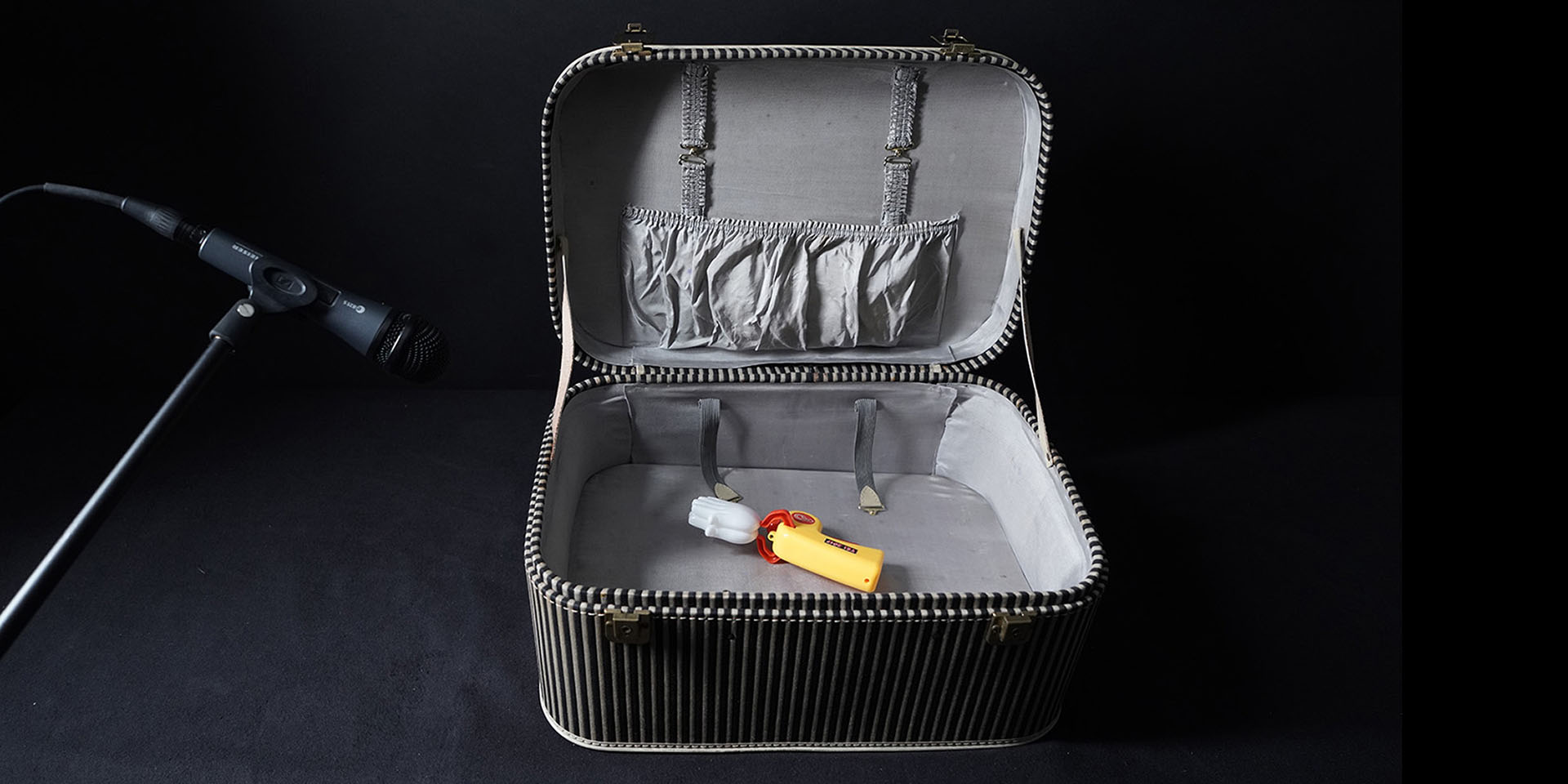 Sweepcase