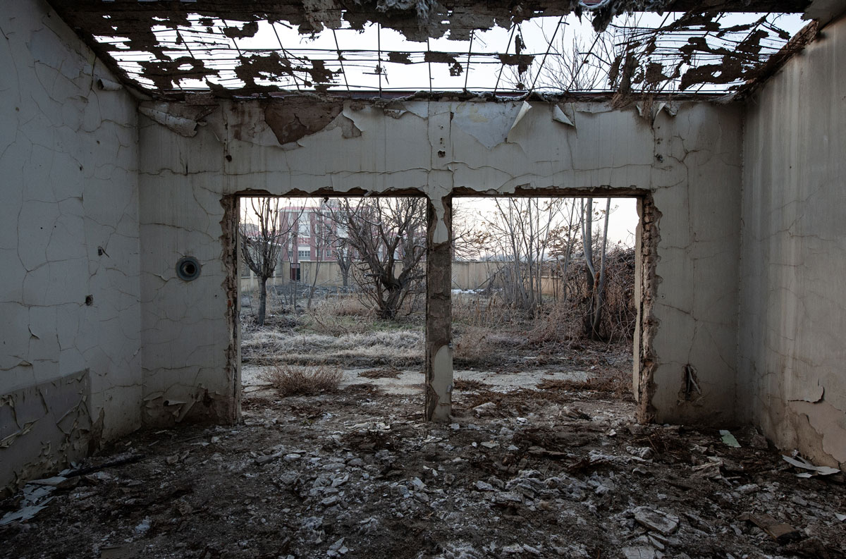 The leafless garden