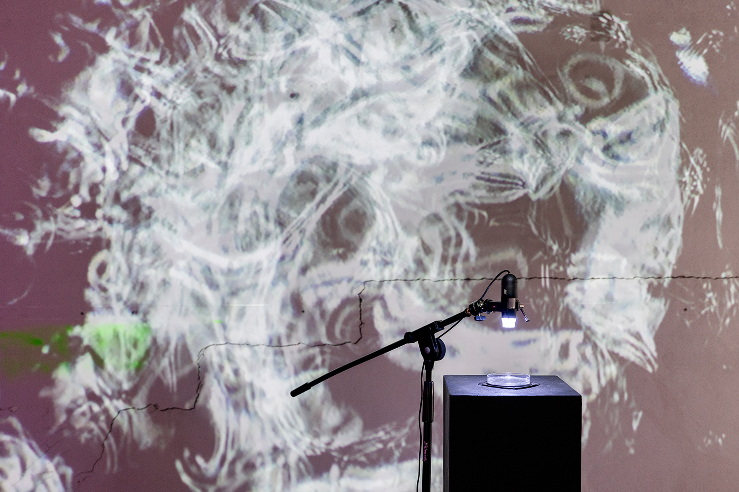 240_ARS23_KUNI©VioWakolbinger