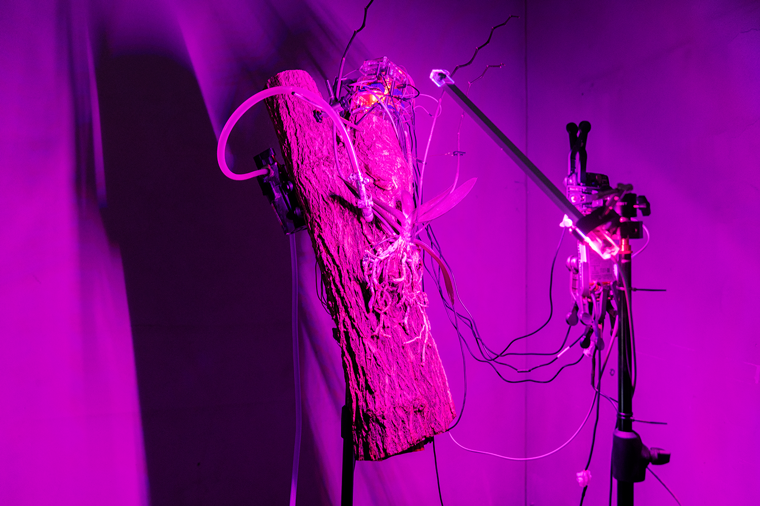 243_ARS23_KUNI©VioWakolbinger